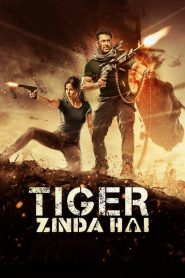 Tiger Zinda Hai izle Altyazılı