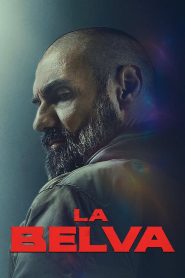 Bir Babanın Öfkesi Türkçe dublaj izle