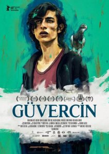 Güvercin izle yerli