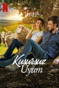 Kusursuz Uyum – A Perfect Pairing 4k izle