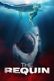 Dipten Gelen – The Requin 4K Film izle