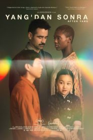 Yang’dan Sonra Türkçe Dublaj izle