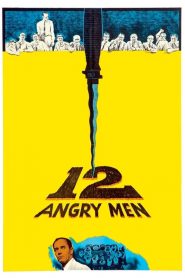 12 Kızgın Adam – 12 Angry Men 4K izle
