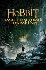 Hobbit 2 Smaug’un Çorak Toprakları 4K izle