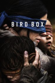 Bird Box Netflix Filmi izle