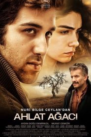 Ahlat Ağacı izle – drama