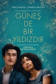 The Sun Is Also a Star izle – Günes de Bir Yildizdir