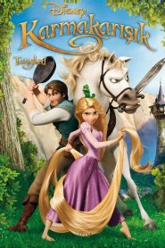 Karmakarışık izle Tangled