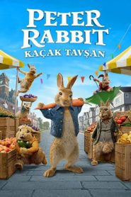 Peter Rabbit 2 izle