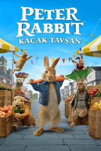 Peter Rabbit 2 izle