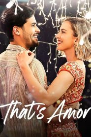 Aşk Budur Netflix Filmi izle
