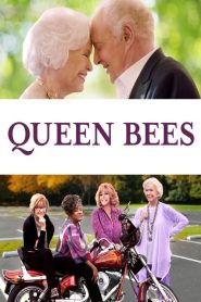 Queen Bees izle 2021 Drama