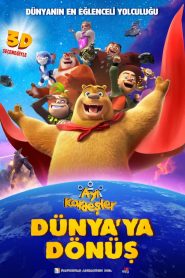 Ayı Kardeşler: Dünya’ya Dönüş