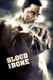 Kan ve Kemik – Blood and Bone