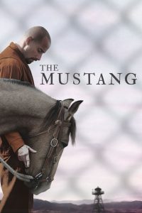 Yabani At – The Mustang