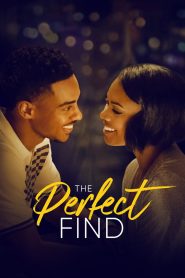Mükemmel Fikir – The Perfect Find Türkçe Dublaj izle