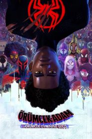 Örümcek-Adam: Örümcek-Evrenine Geçiş Türkçe Dublaj izle