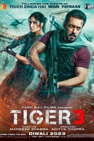 Tiger 3 Türkçe Dublaj izle
