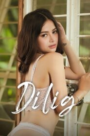 Dilig Türkçe Dublaj izle