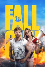 Dublör Türkçe Dublaj izle