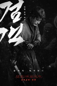 Kılıç Ustası (The Swordsman) Türkçe Dublaj izle