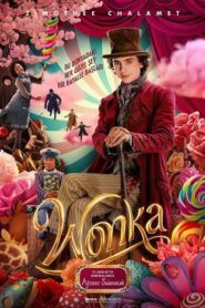 Wonka Türkçe Dublaj izle