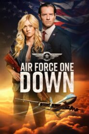 Air Force One Down Türkçe Dublaj izle