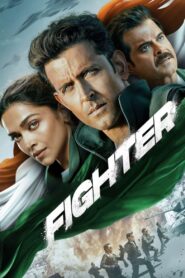 Ejder Birliği Fighter Türkçe Dublaj izle