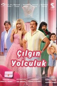 Çılgın Yolculuk Türkçe Dublaj izle