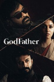 Patronların Patronu (Godfather) Türkçe dublaj izle