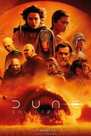 Dune: Part Two Türkçe Dublaj izle