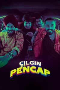 Çılgın Pencap Türkçe dublaj izle