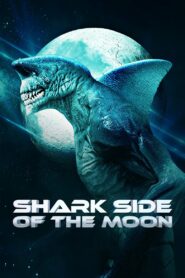 Ayın Köpekbalığı Yüzü Türkçe dublaj izle