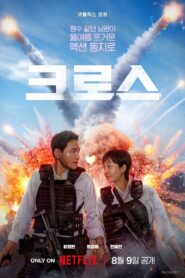 Ev Ajanı – Mission: Cross Türkçe dublaj izle