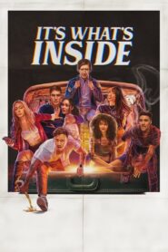 İçinde Kim Var? (It’s What’s Inside) türkçe dublaj izle