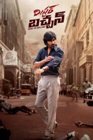 Mr. Bachchan 2024 türkçe dublaj izle