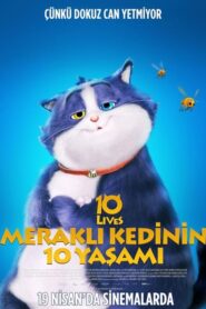 Meraklı Kedinin 10 Yaşamı Türkçe Dublaj izle