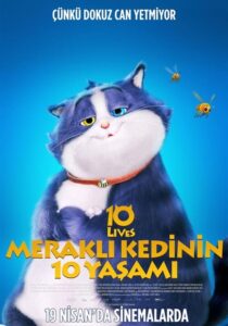 Meraklı Kedinin 10 Yaşamı Türkçe Dublaj izle