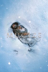 Mucize 1 2015 yerli izle