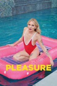 Haz – Pleasure izle