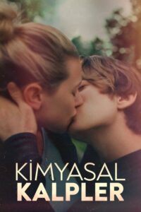 Chemical Hearts izle