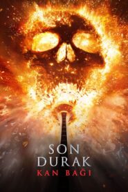 Son Durak: Kan Bağı 2025 Türkçe Dublaj Full izle