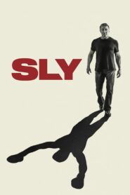 Sly Türkçe dublaj izle