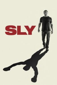 Sly Türkçe dublaj izle