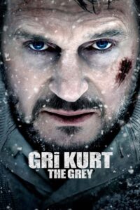 Gri Kurt 2011 Türkçe Dublaj Full izle