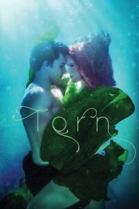 Torn 2022 Türkçe dublaj Full izle