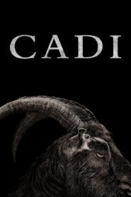 Cadı 2016 Türkçe Dublaj izle