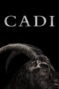 Cadı 2016 Türkçe Dublaj izle