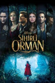 Sihirli Orman 2014 Türkçe dublaj izle