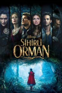 Sihirli Orman 2014 Türkçe dublaj izle